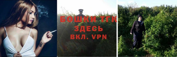сатива Беломорск