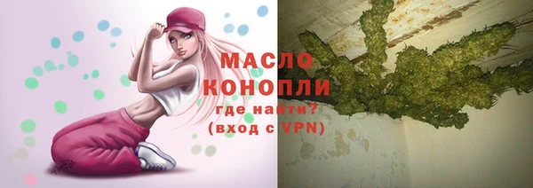 сатива Беломорск