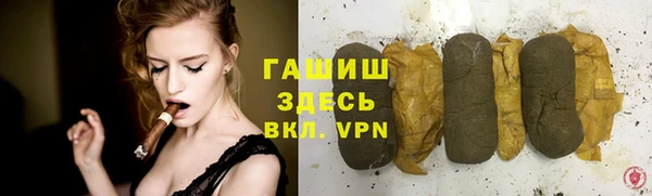 сатива Беломорск