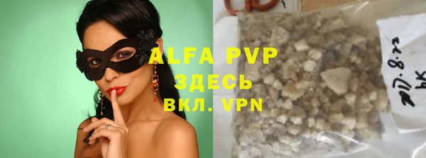 сатива Беломорск