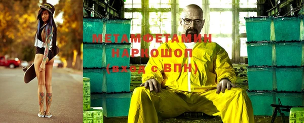 сатива Беломорск