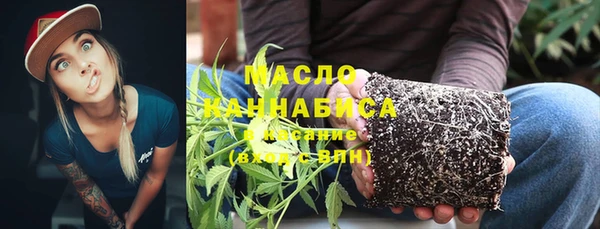 сатива Беломорск