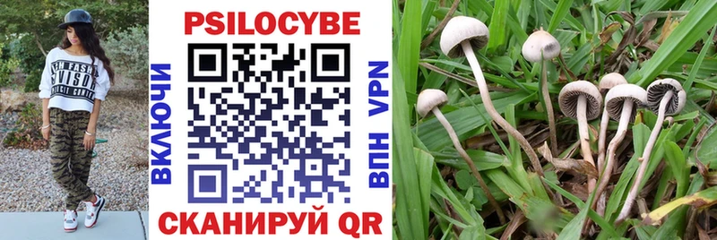 Галлюциногенные грибы Psilocybine cubensis  Гаврилов-Ям 